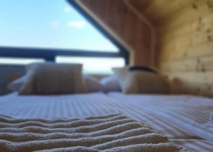 Fields - Na Dzikiej Lace 4 Rychwald